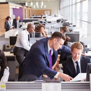 Business Compliance Officer