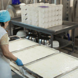 Cheese Making