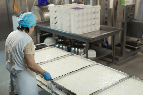Cheese Making